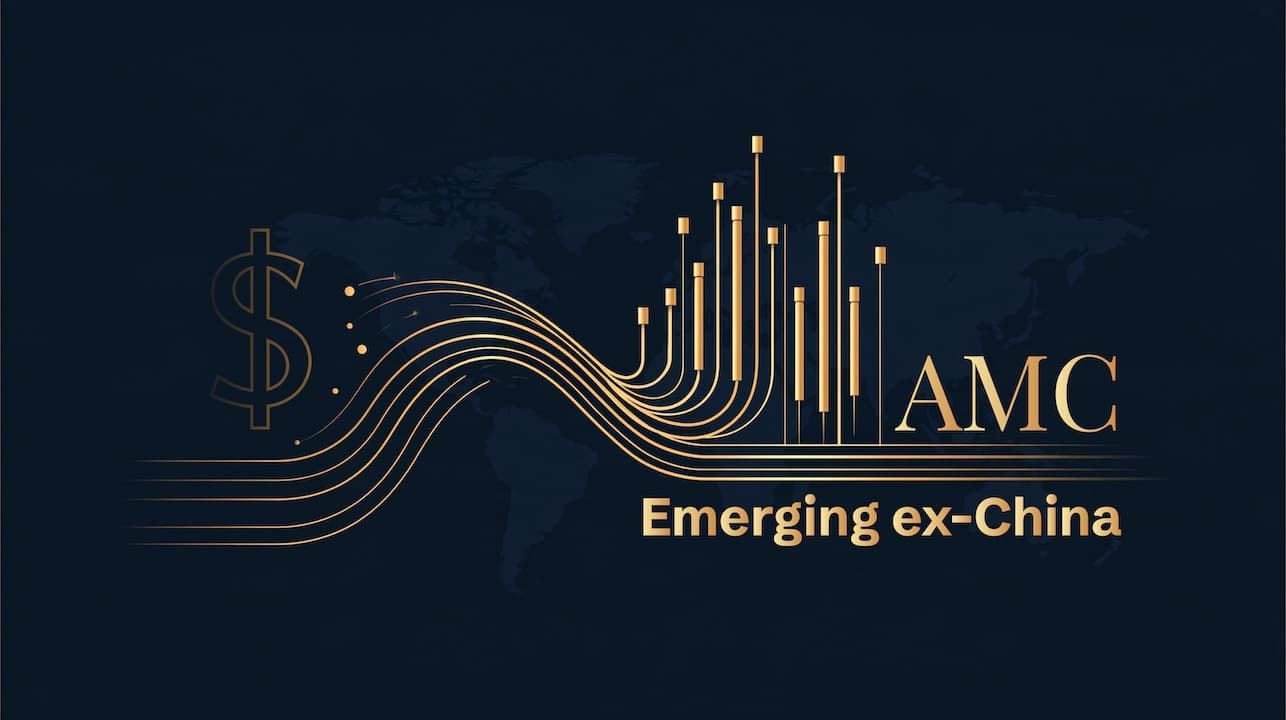 AMC Emerging ex-China rebalancing: reducing concentration in North Asia